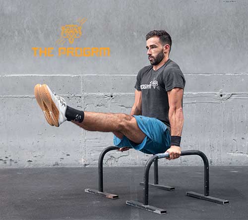 L-Sit on P-bar, Progressions 